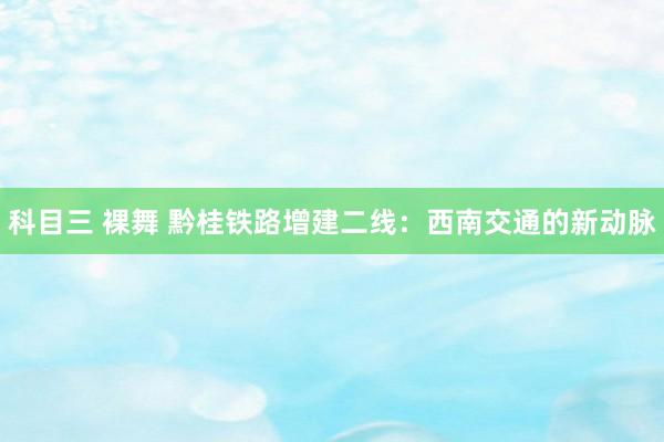 科目三 裸舞 黔桂铁路增建二线：西南交通的新动脉