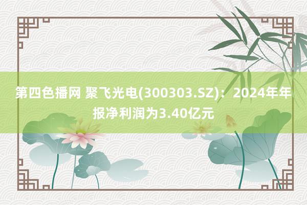 第四色播网 聚飞光电(300303.SZ)：2024年年报净利润为3.40亿元