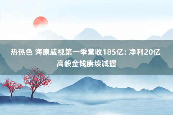 热热色 海康威视第一季营收185亿: 净利20亿 高毅金钱赓续减握