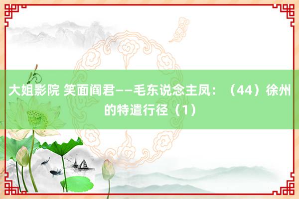 大姐影院 笑面阎君——毛东说念主凤：（44）徐州的特遣行径（1）