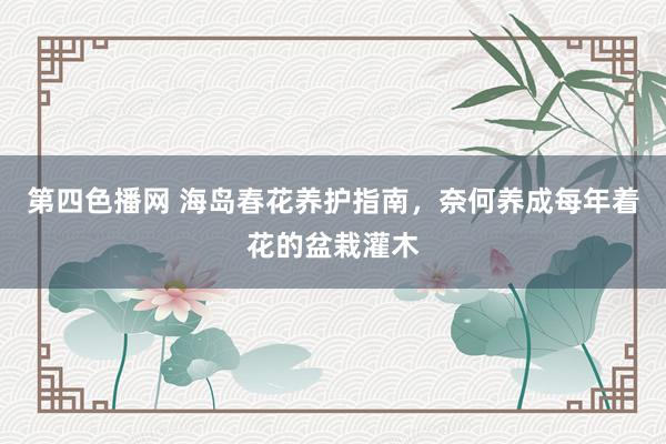 第四色播网 海岛春花养护指南，奈何养成每年着花的盆栽灌木
